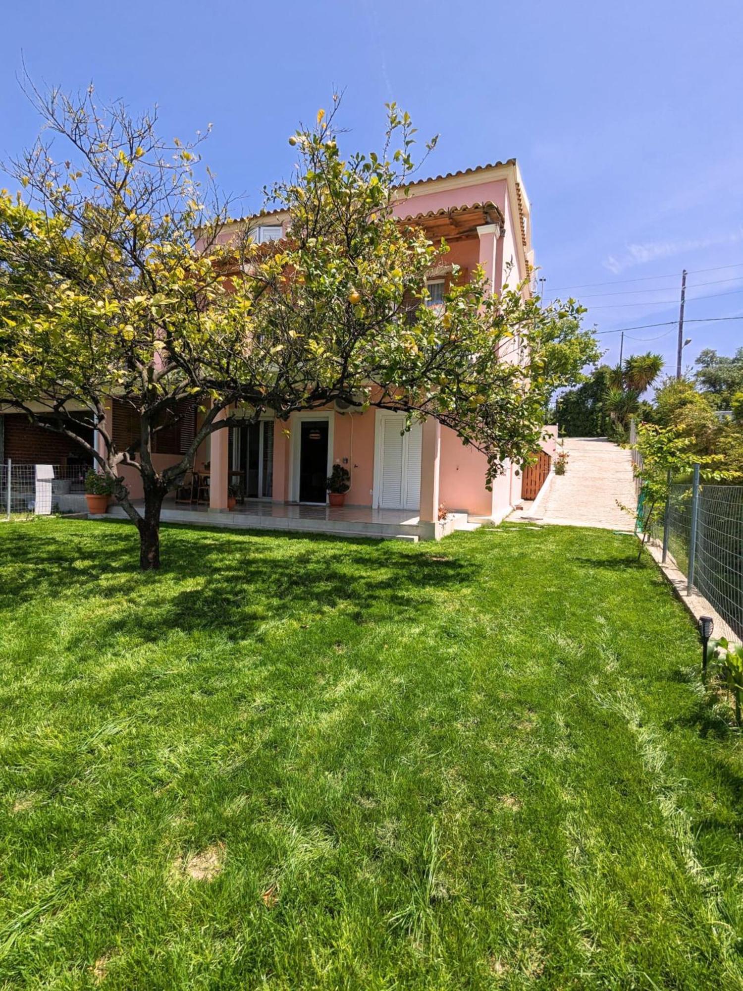 Olivia Mare Vacation House Corfu Astrakeri Dış mekan fotoğraf